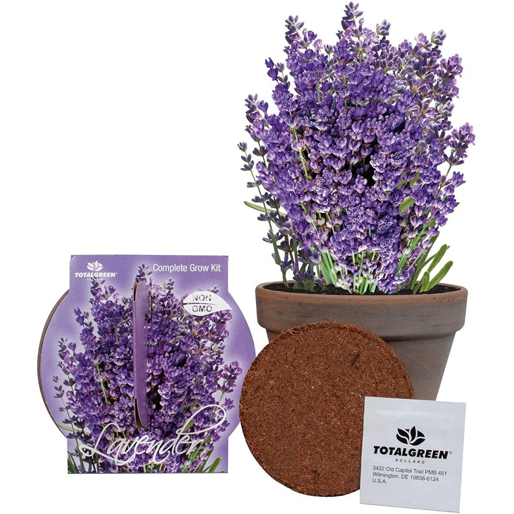 NWT Totalgreen Lavender Grow Kit